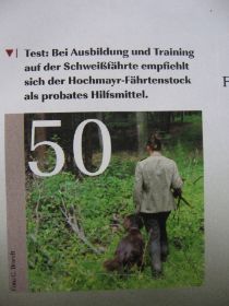 Pirsch.JPG